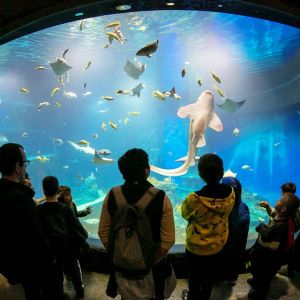 Hydropolis, Zoo, Aquapark: Günstigere Tickets für Familien mit Kindern