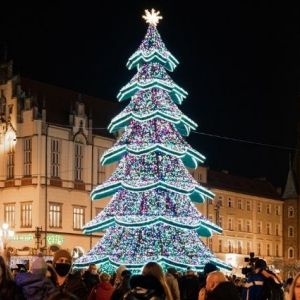 Christbaum auf dem Ring von Wrocław