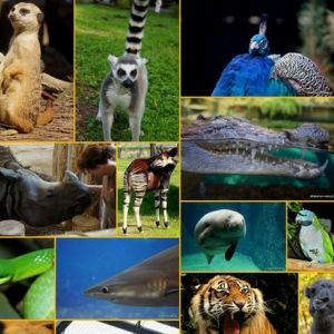 Zoo Wrocław ab dem 21. Mai wiedergeöffnet