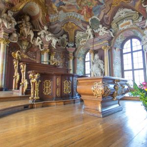 The last big stage of repair of the Leopoldina Hall starts