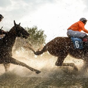 Liberty Day. Crystal Cup & Ladies Day 2019