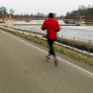 Rutas para recorrer en Breslavia