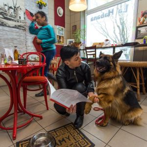 Pierwsza na Dolnym Śląsku restauracja z menu dla psa i kota